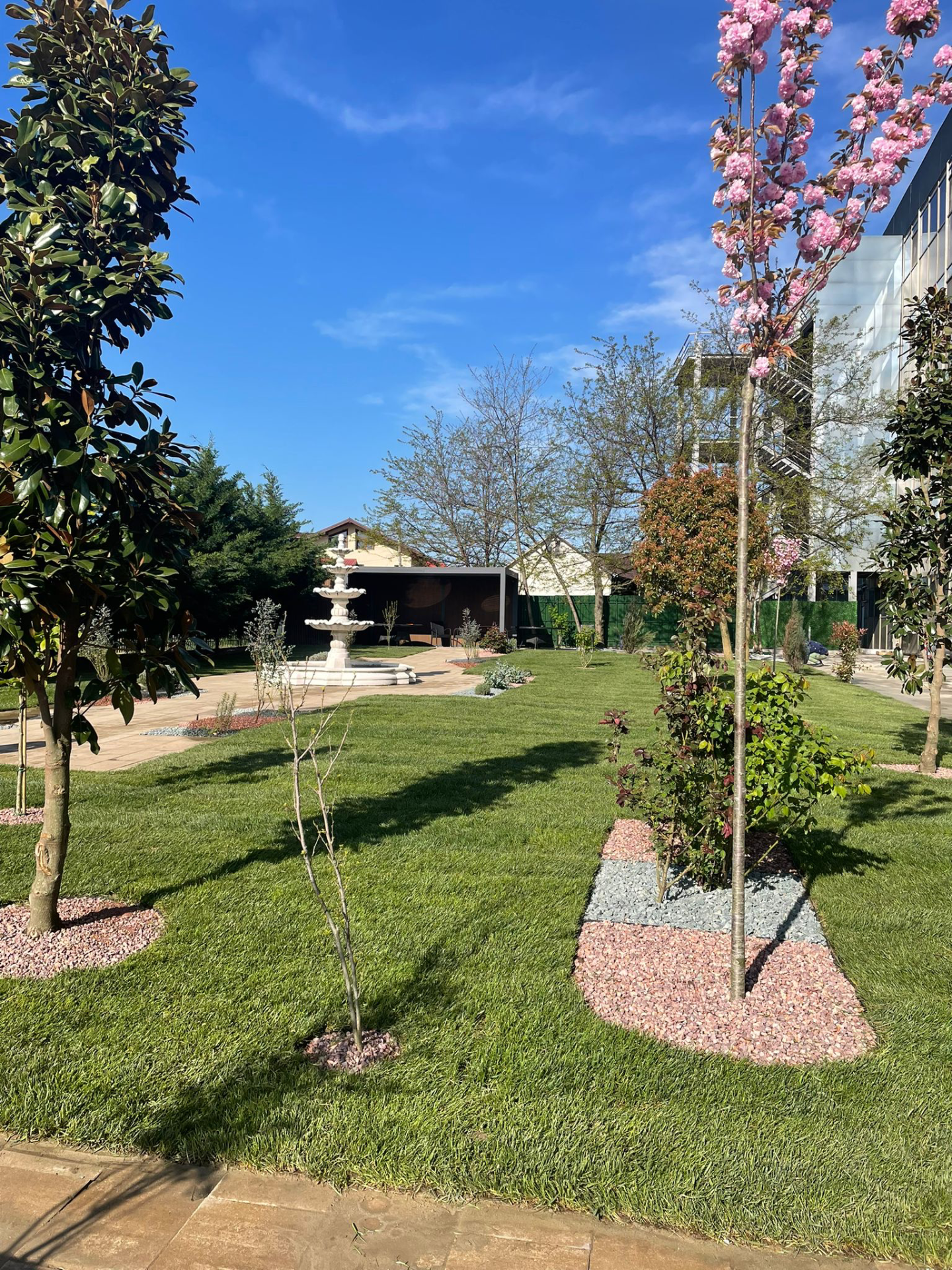 Gradina verde cu gazon intretinut, copaci infloriti roz si alb, zona pavata si cladiri in fundal la centrul de ingrijire seniori