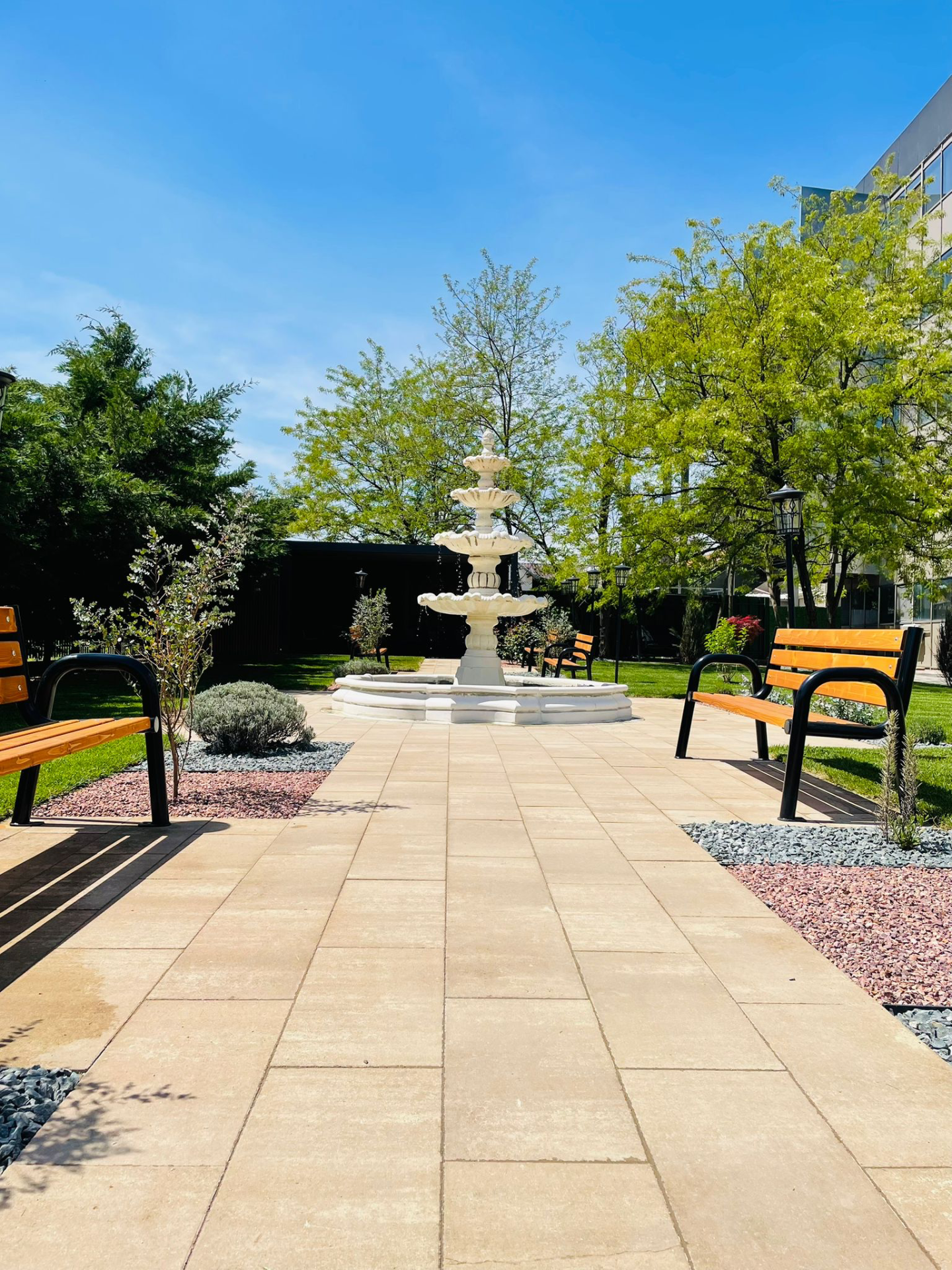 Vizitează noul parc AsertivO! Natură și liniște pentru seniori
