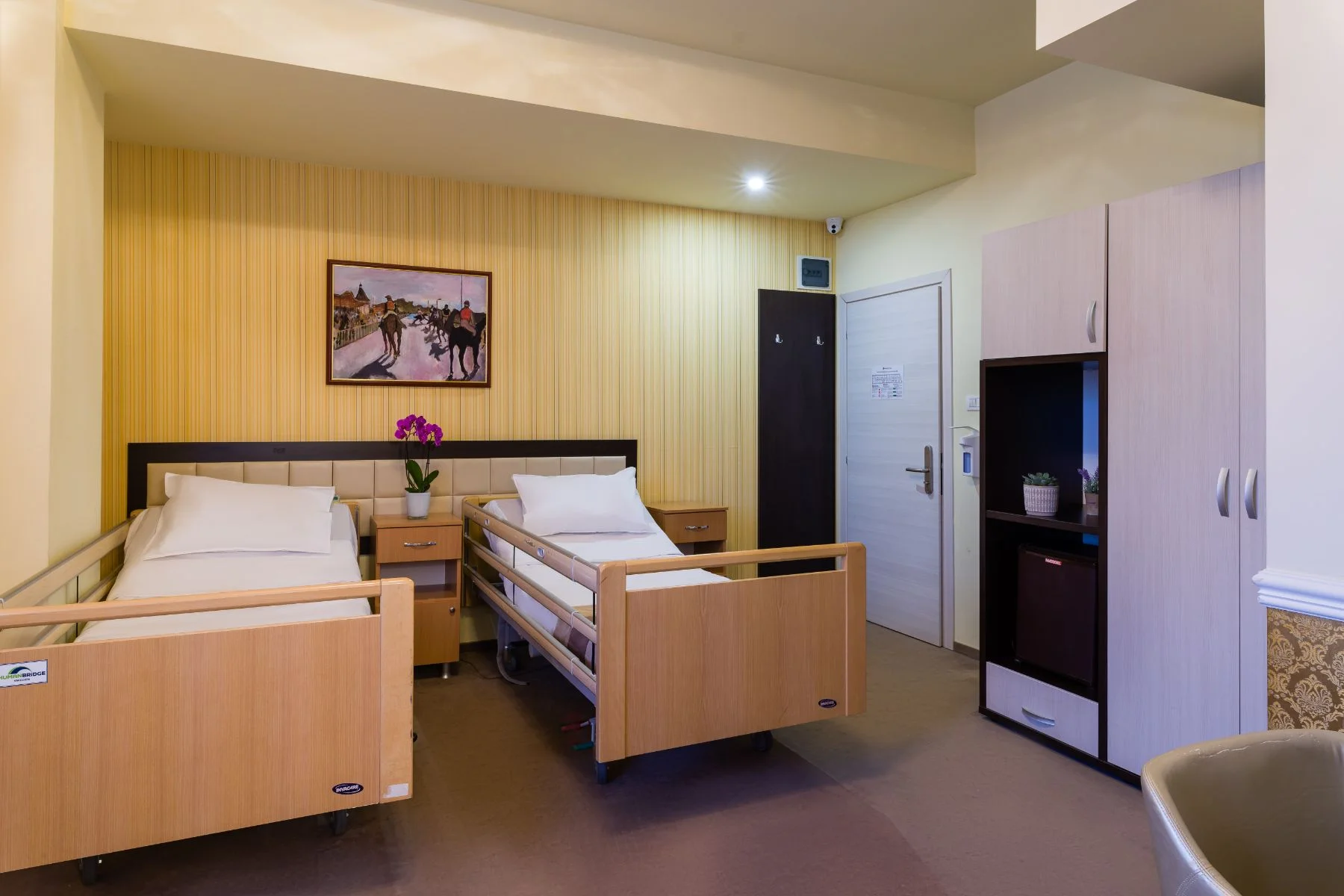 Cameră cu două paturi medicale cu cadru din lemn, dulap mov, televizor și tablou decorativ pe perete